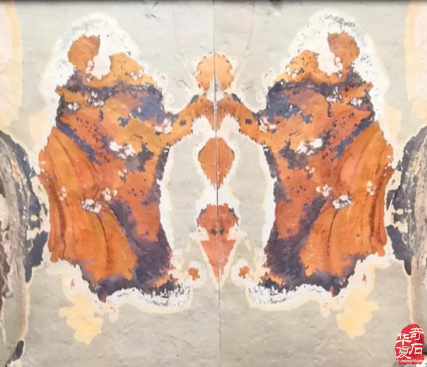 河北水渍岩画模树石的风采 图