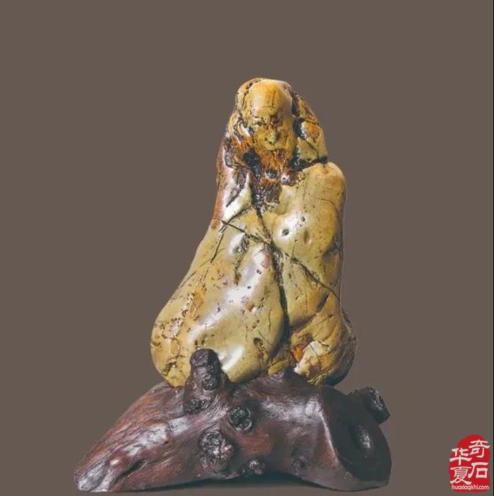 观赏石在收藏文化中的定位浅议 图