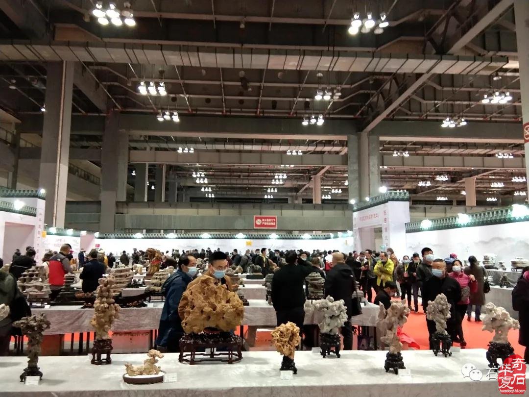 热烈祝贺第十三届中国(重庆)万石博览会盛大开幕 图