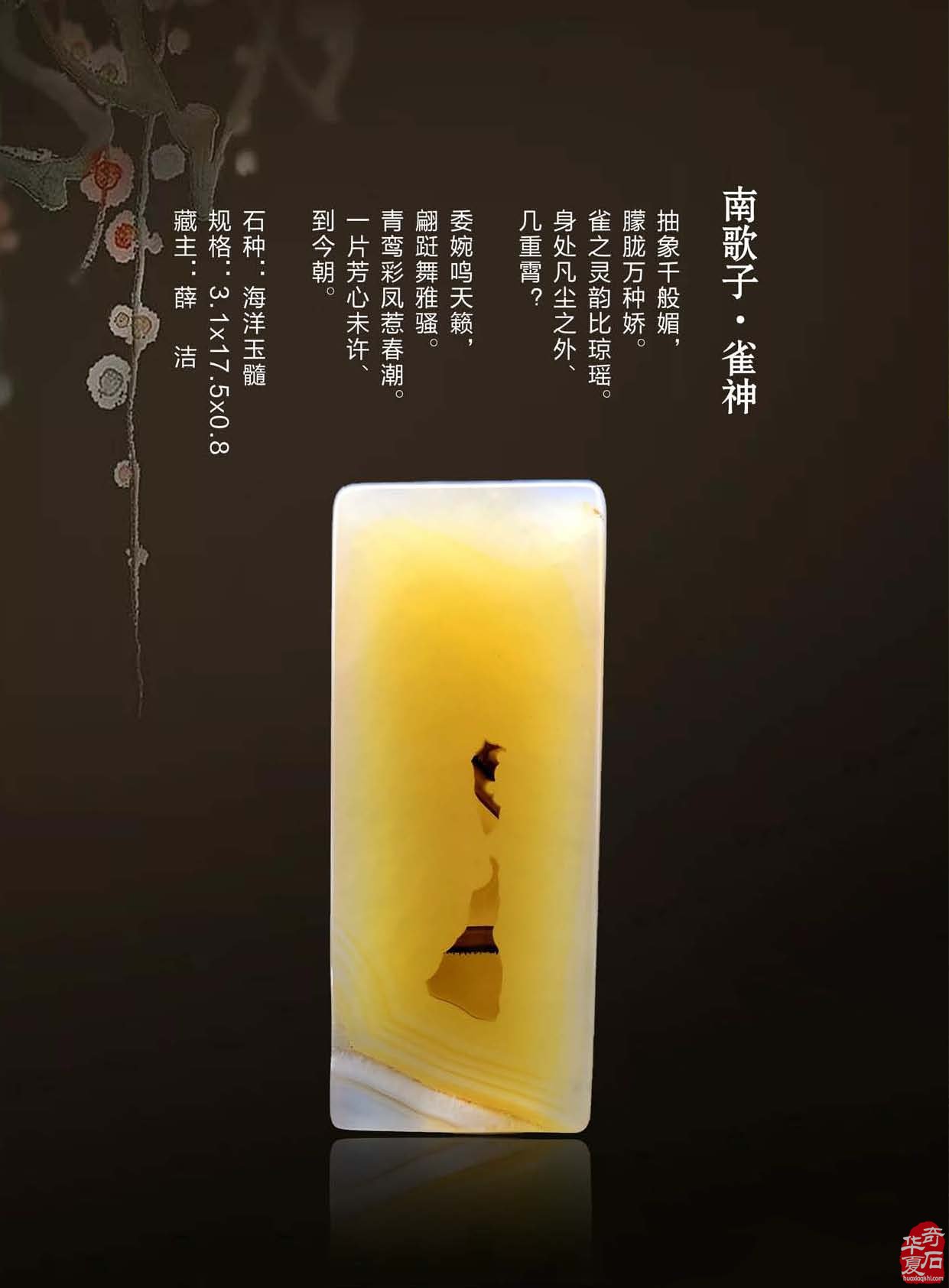 《于公赏石》倾力助推重庆万石博览会 图