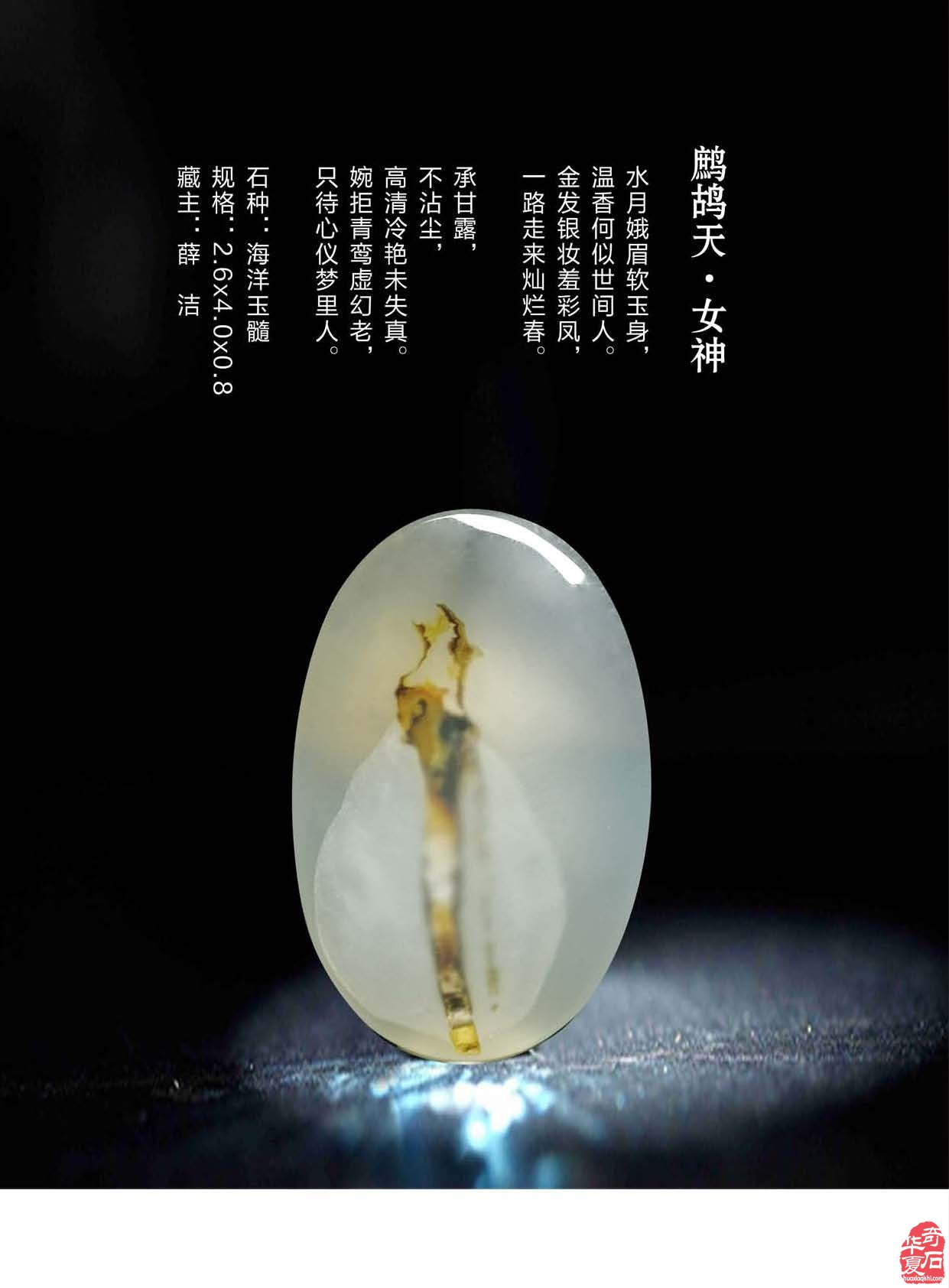 《于公赏石》倾力助推重庆万石博览会 图