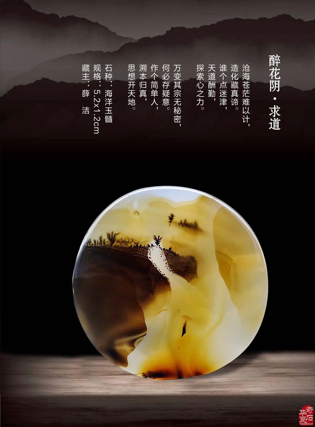 《于公赏石》倾力助推重庆万石博览会 图