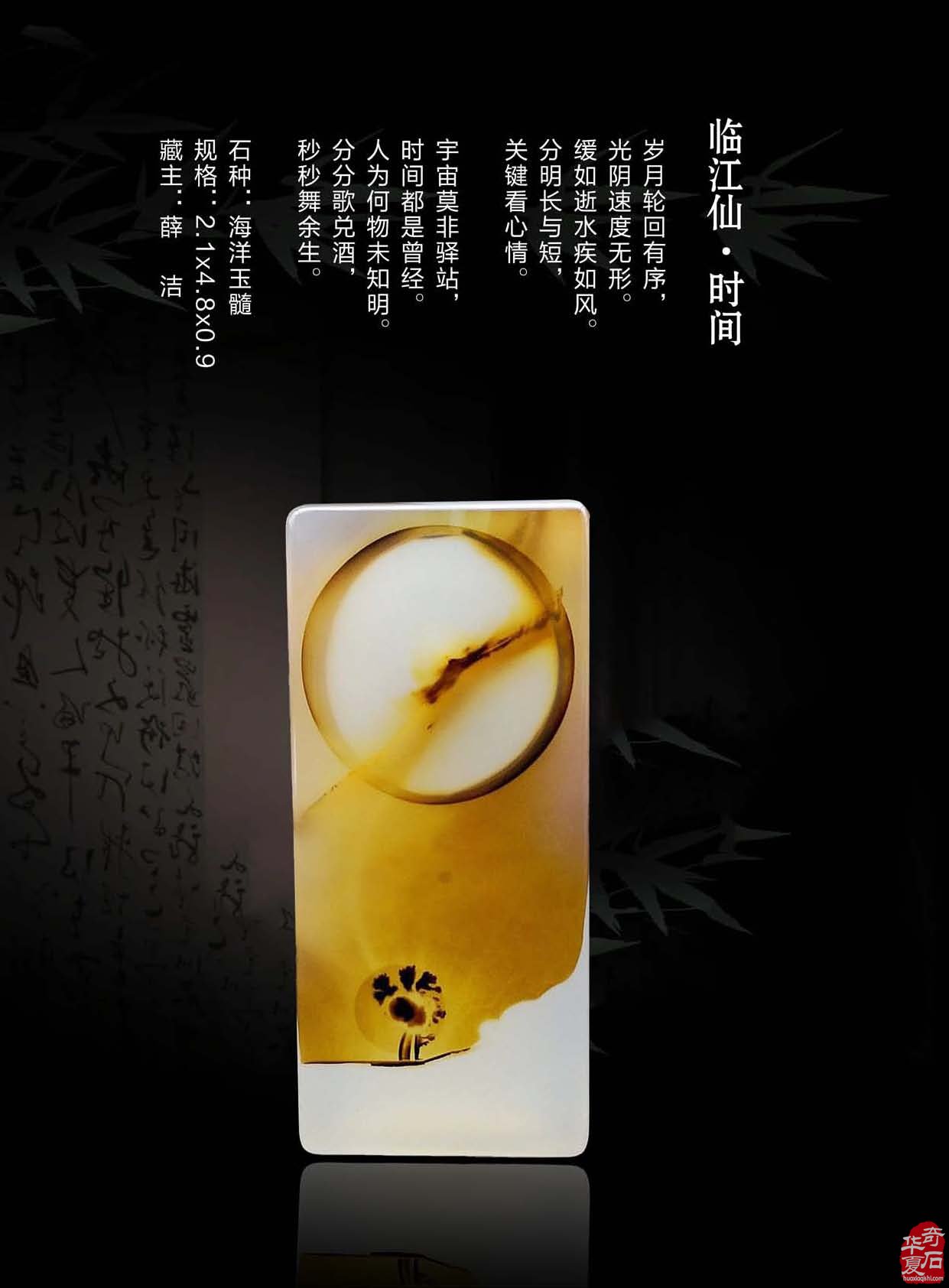 《于公赏石》倾力助推重庆万石博览会 图