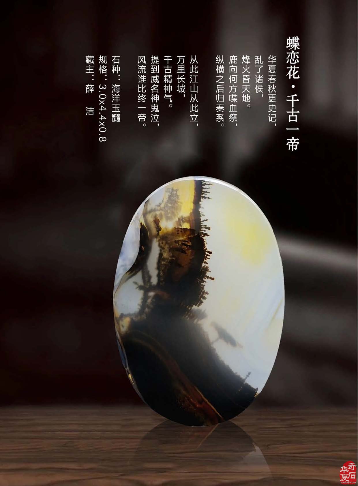 《于公赏石》倾力助推重庆万石博览会 图