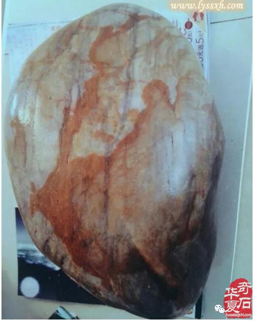 建安风‖ 黄河滩上我的家 图