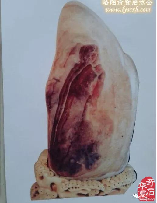 建安风‖ 黄河滩上我的家 图