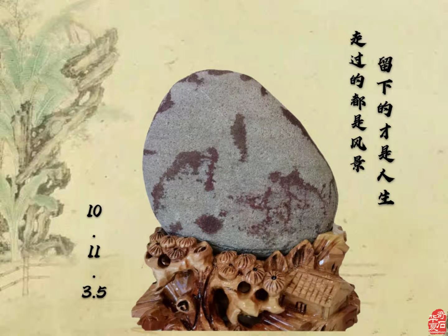 巾帼不让须眉 看洛阳奇石城中的《秋石轩》图