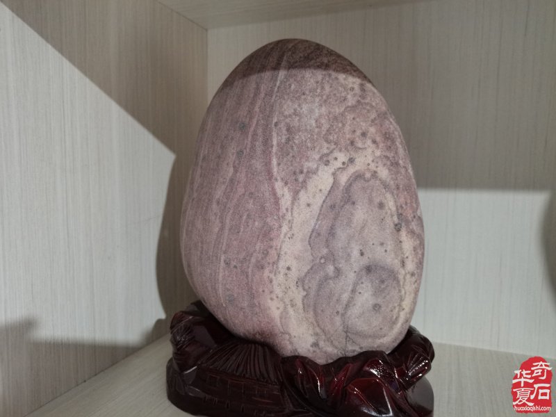 洛阳奇石城中的新兵不老松胡长万（图）