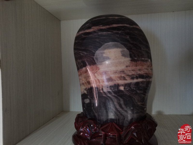 洛阳奇石城中的新兵不老松胡长万（图）