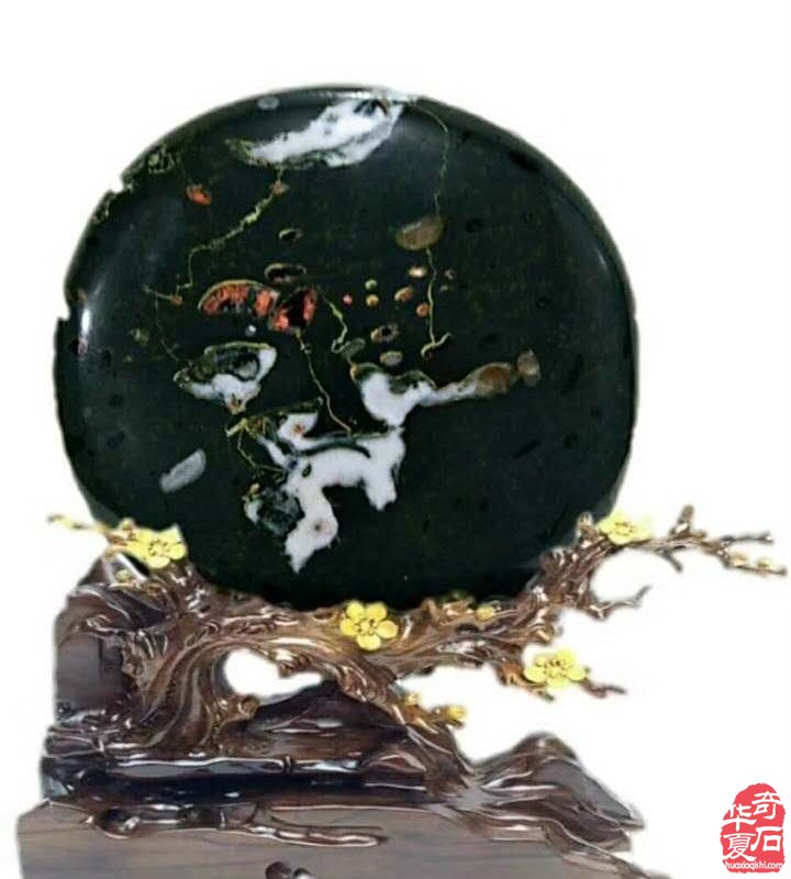 未来之星洛阳赏石界的小新兵马志刚 图