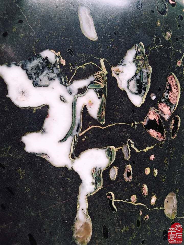 未来之星洛阳赏石界的小新兵马志刚 图