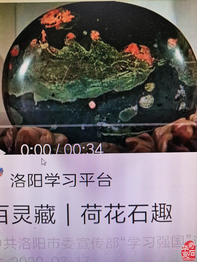 喜讯连连看!洛阳这个地方频频登上学习强国!