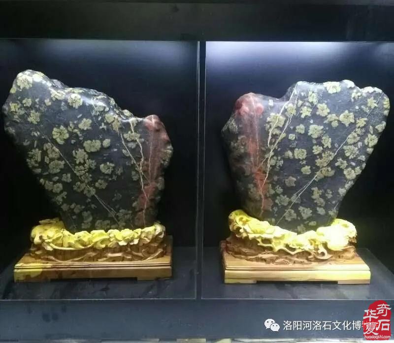 喜讯连连看！洛阳这个地方频频登上学习强国！