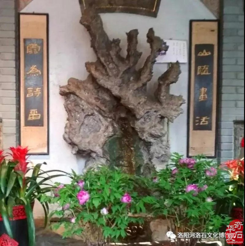 喜讯连连看！洛阳这个地方频频登上学习强国！