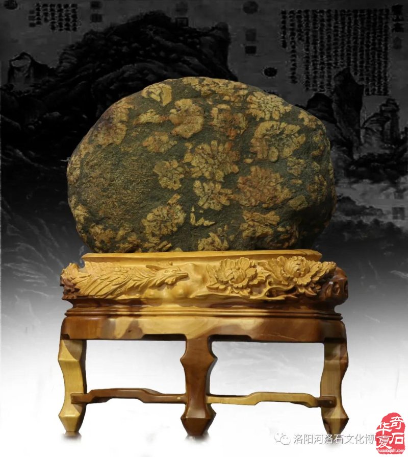 喜讯连连看！洛阳这个地方频频登上学习强国！