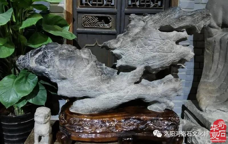 喜讯连连看！洛阳这个地方频频登上学习强国！