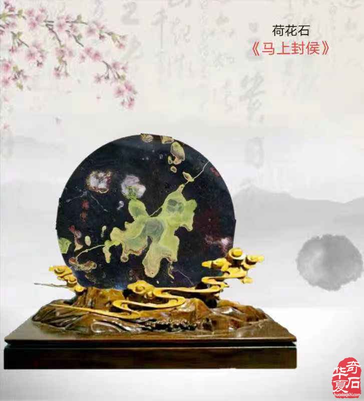 欣赏古朴厚重的黄河石绚丽多姿的荷花石 图