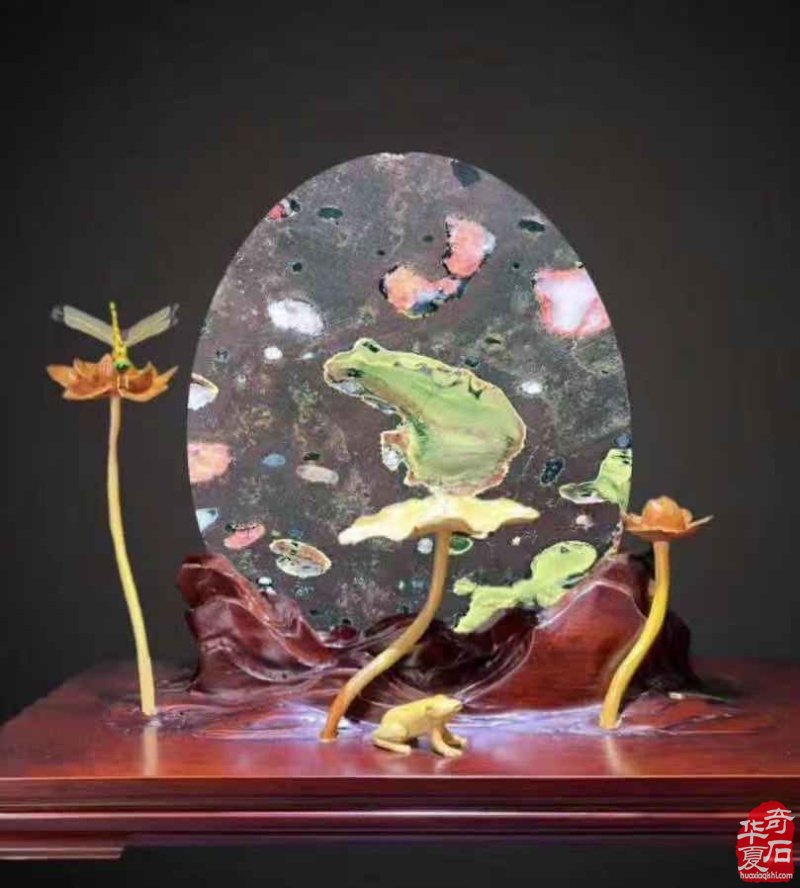 欣赏古朴厚重的黄河石绚丽多姿的荷花石 图