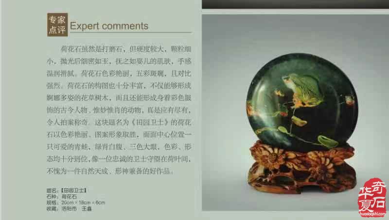 欣赏古朴厚重的黄河石绚丽多姿的荷花石 图