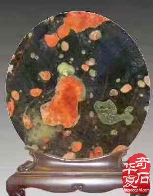 欣赏古朴厚重的黄河石绚丽多姿的荷花石 图