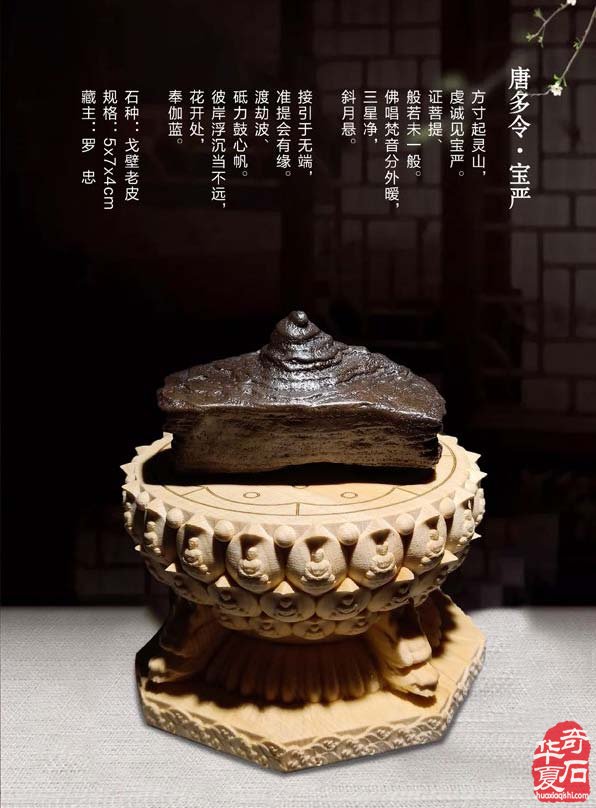 寒风凛冽《于公赏石》带来清新之风 图