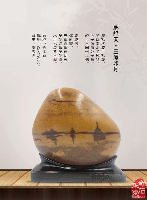 寒风凛冽《于公赏石》带来清新之风 图