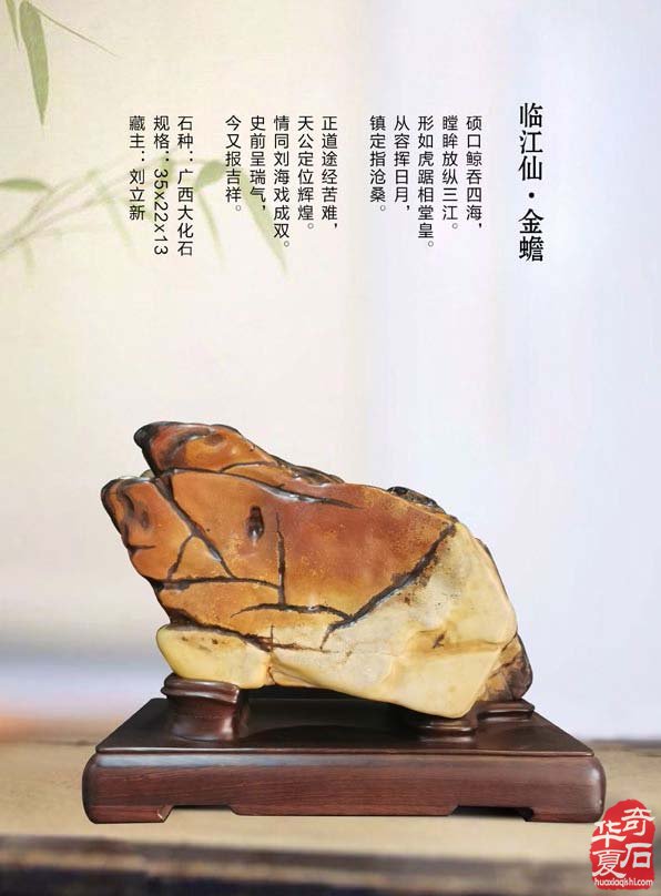 寒风凛冽《于公赏石》带来清新之风 图