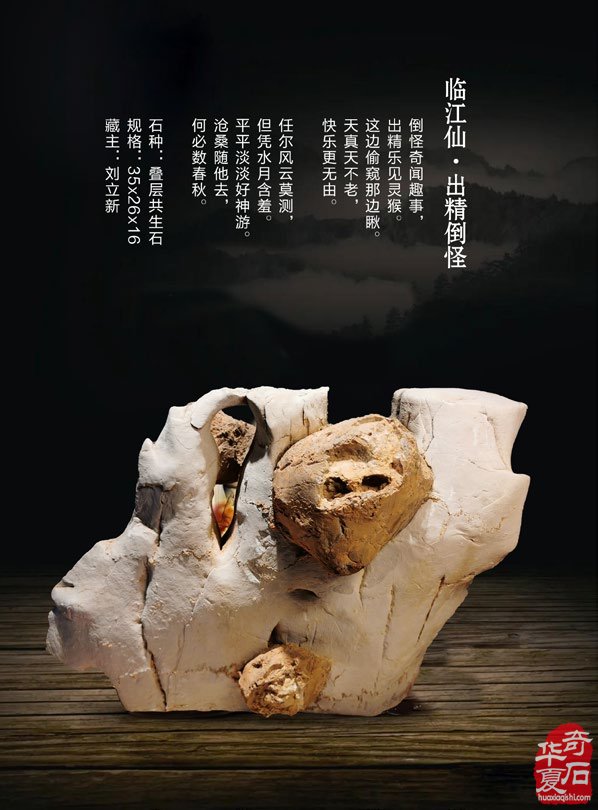 寒风凛冽《于公赏石》带来清新之风 图
