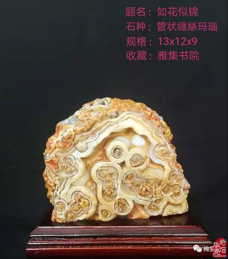 梅玺堂奇石免费展示（第83期节选）