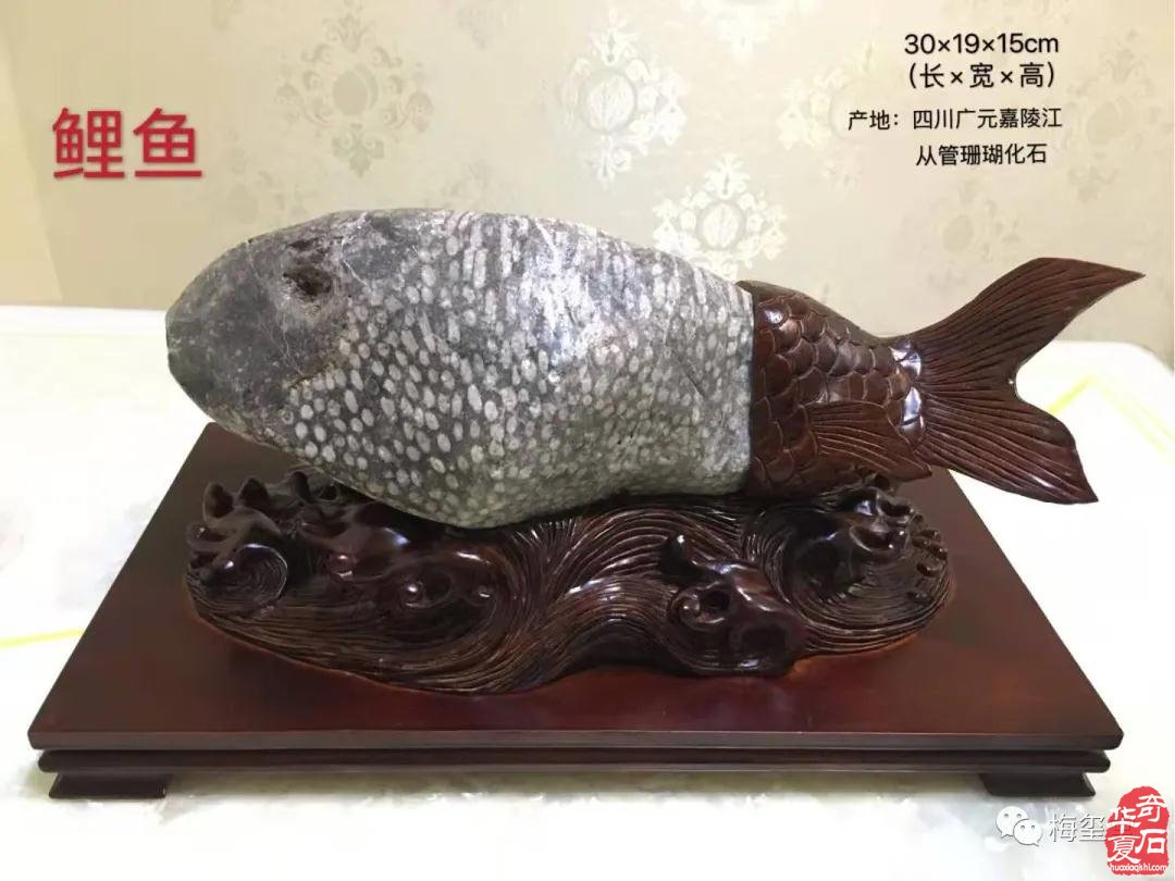 梅玺堂奇石免费展示（第83期节选）