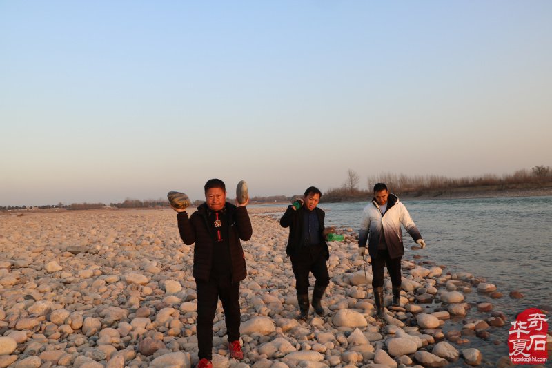 黄河采风与大自然亲密接触觅石寻宝 图