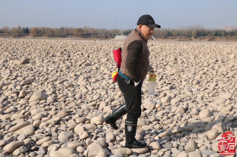 黄河采风与大自然亲密接触觅石寻宝 图