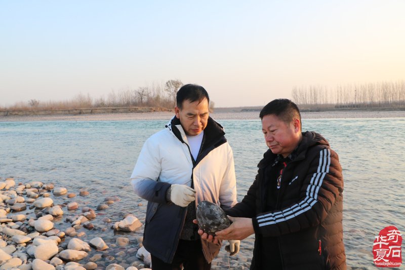 黄河采风与大自然亲密接触觅石寻宝 图