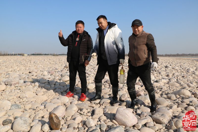 黄河采风与大自然亲密接触觅石寻宝 图
