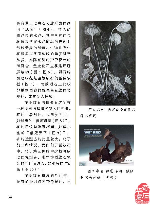 听《于公赏石》说“观赏石命题的艺术境界” 图