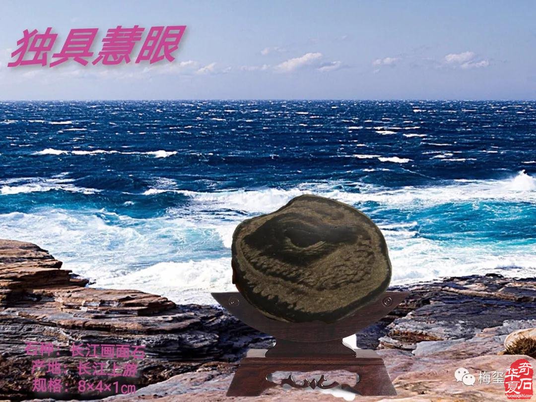 梅玺堂奇石免费展示（第84期节选）图