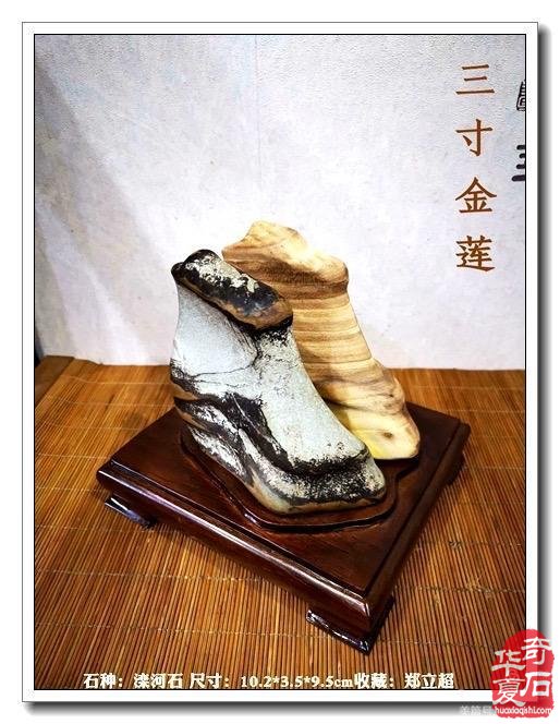 2020年唐山市奇石根艺协会年会盛典，2021再创辉煌！