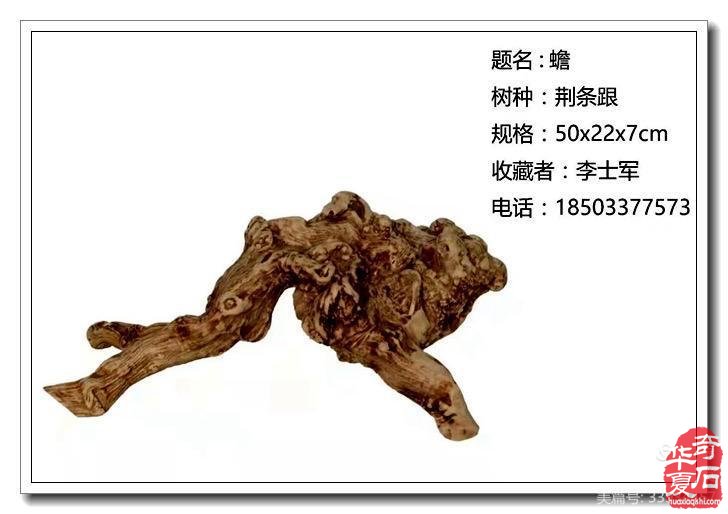2020年唐山市奇石根艺协会年会盛典，2021再创辉煌！