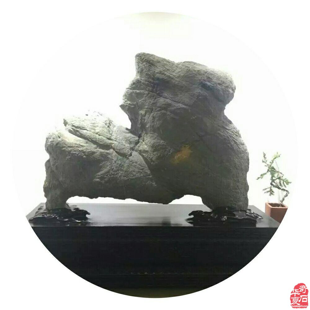 致美石灰姑娘的一封公开信 图