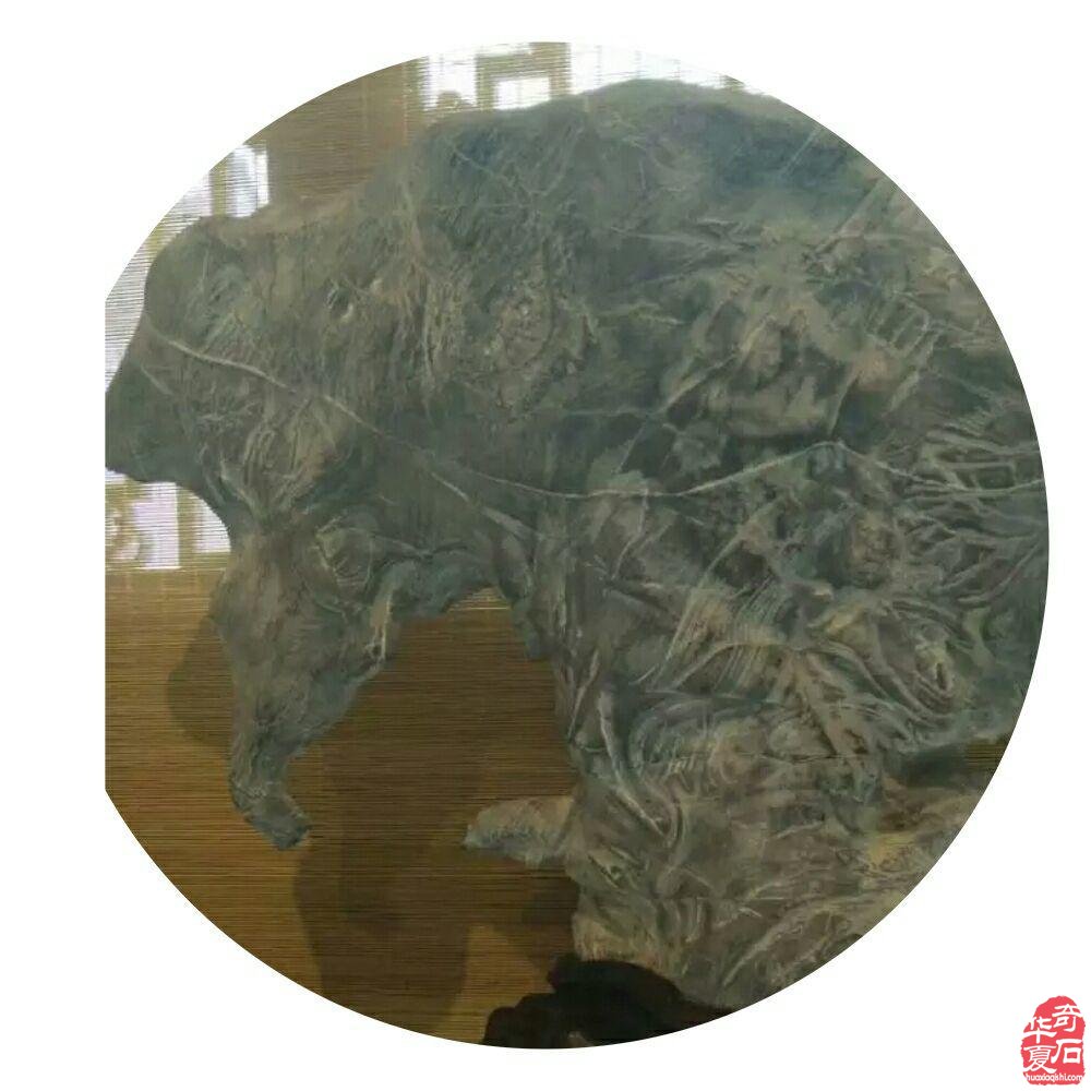 致美石灰姑娘的一封公开信 图