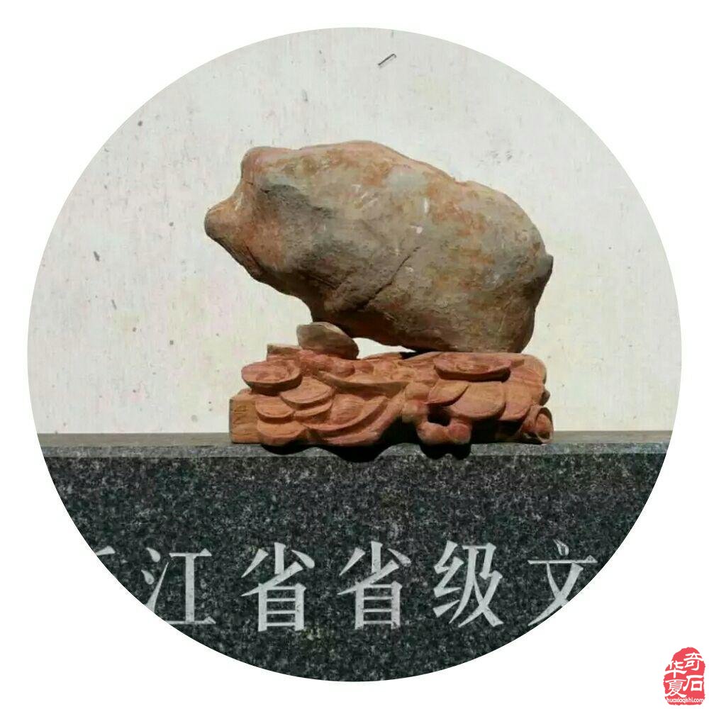 致美石灰姑娘的一封公开信 图