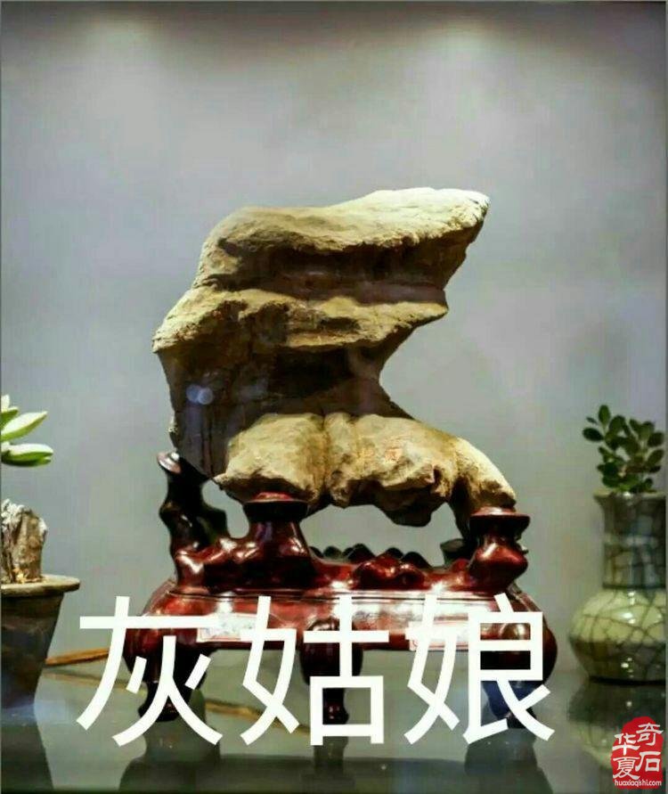 致美石灰姑娘的一封公开信 图