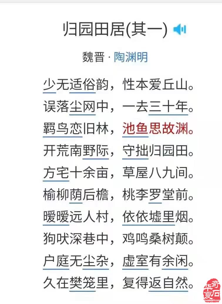 我被美石鱼儿的色彩与神韵所震撼