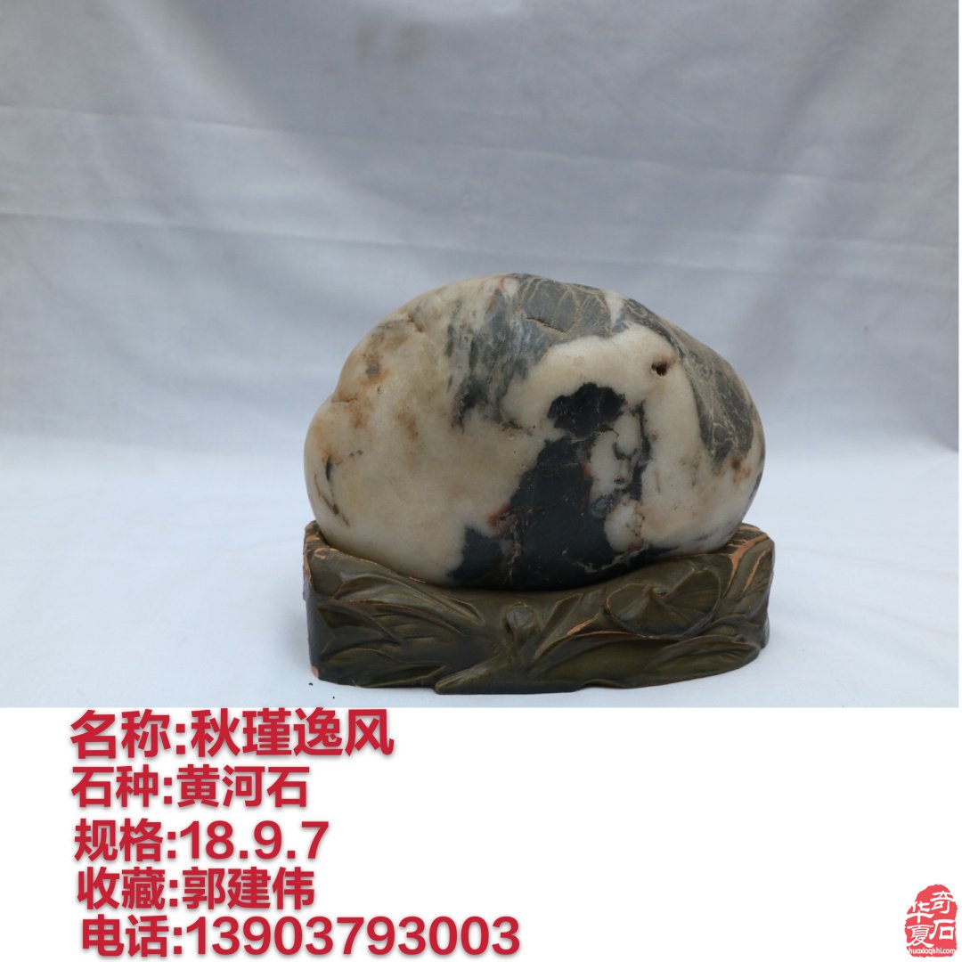 洛阳石界腕级玩家郭建伟与他的《逸致庐》