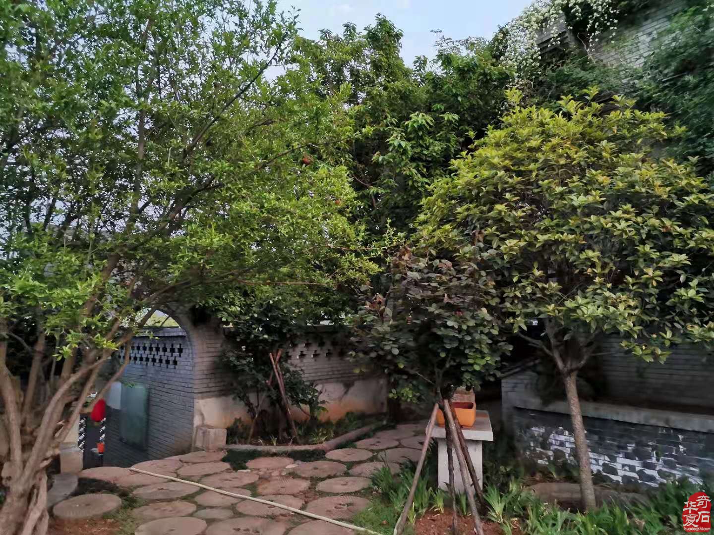 洛阳石界腕级玩家郭建伟与他的《逸致庐》