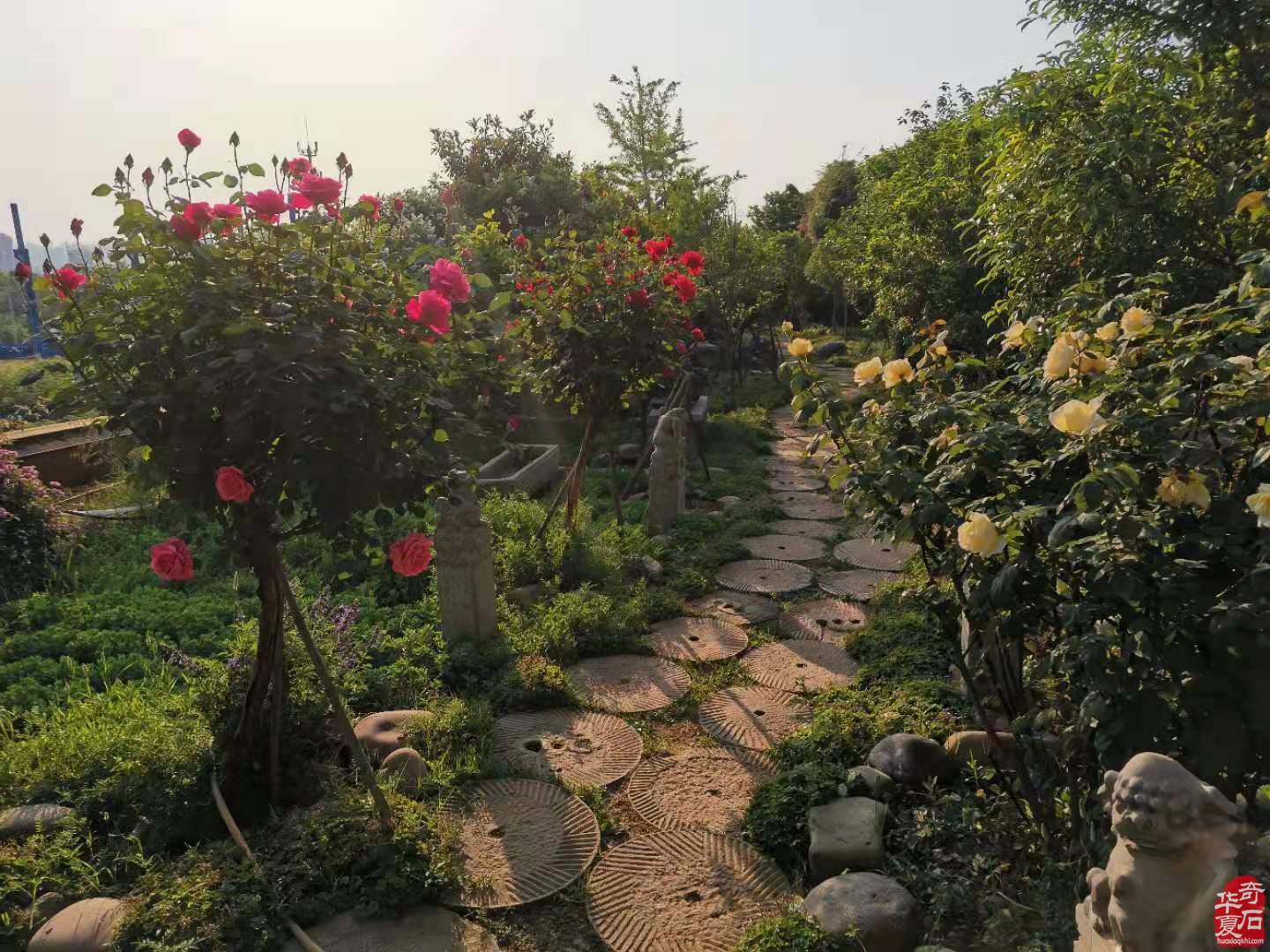 洛阳石界腕级玩家郭建伟与他的《逸致庐》
