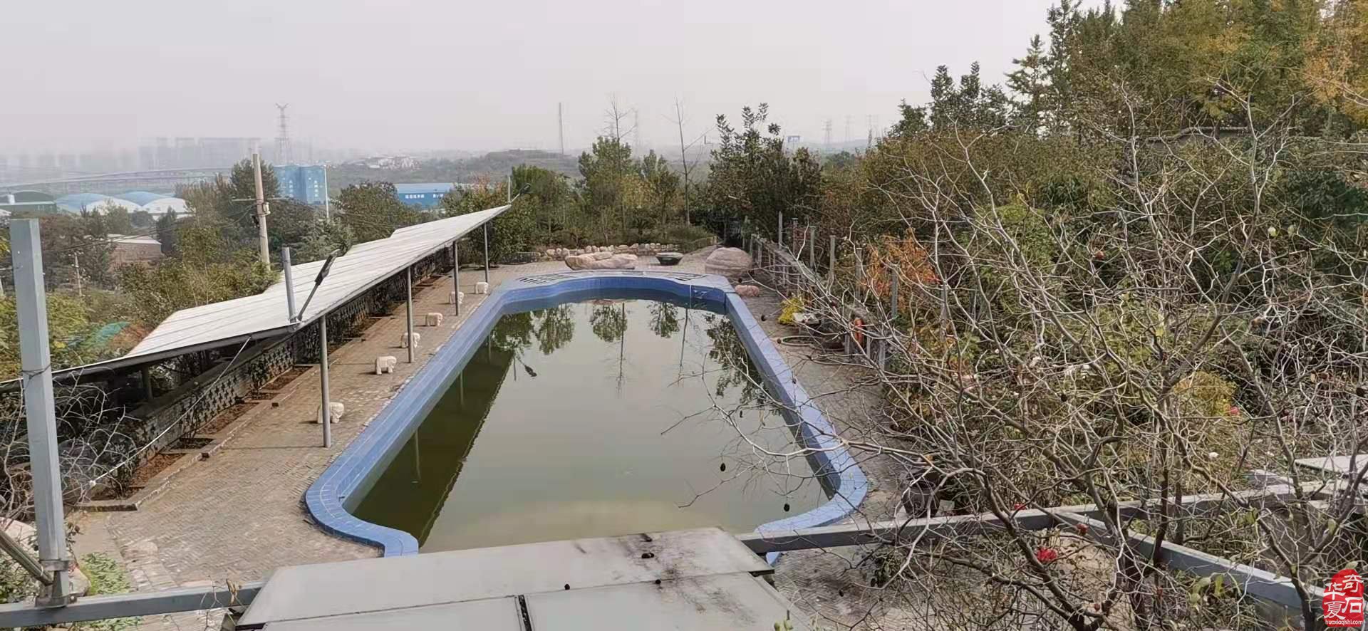 洛阳石界腕级玩家郭建伟与他的《逸致庐》