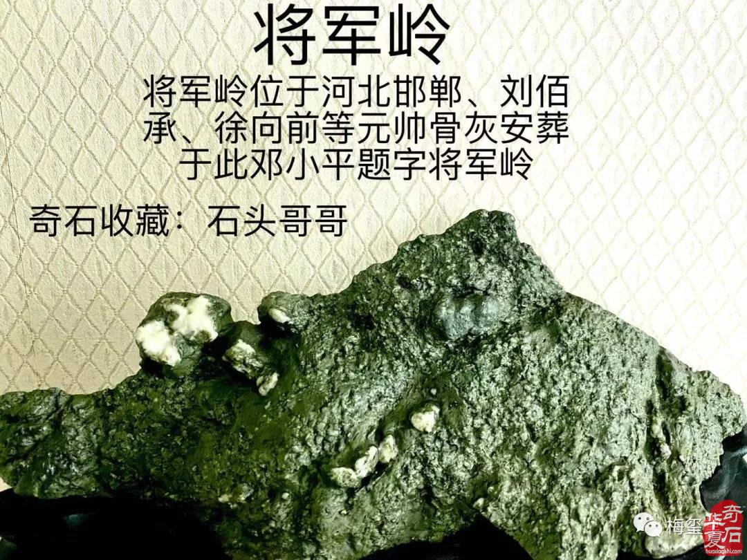 梅玺堂奇石免费展示(第85期) 组图