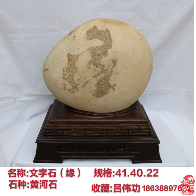 新春佳节之际洛阳的石友们给您拜年啦!