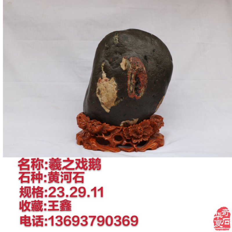 新春佳节之际洛阳的石友们给您拜年啦!